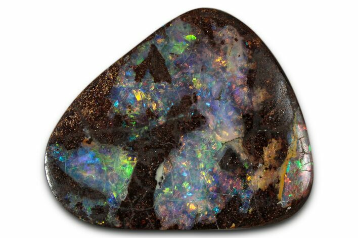 Colorful Polished Boulder Opal Specimen - Queensland, Australia #351844